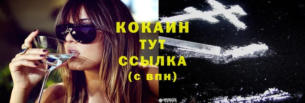 стафф Вуктыл